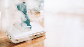 Nettoyeur vapeur